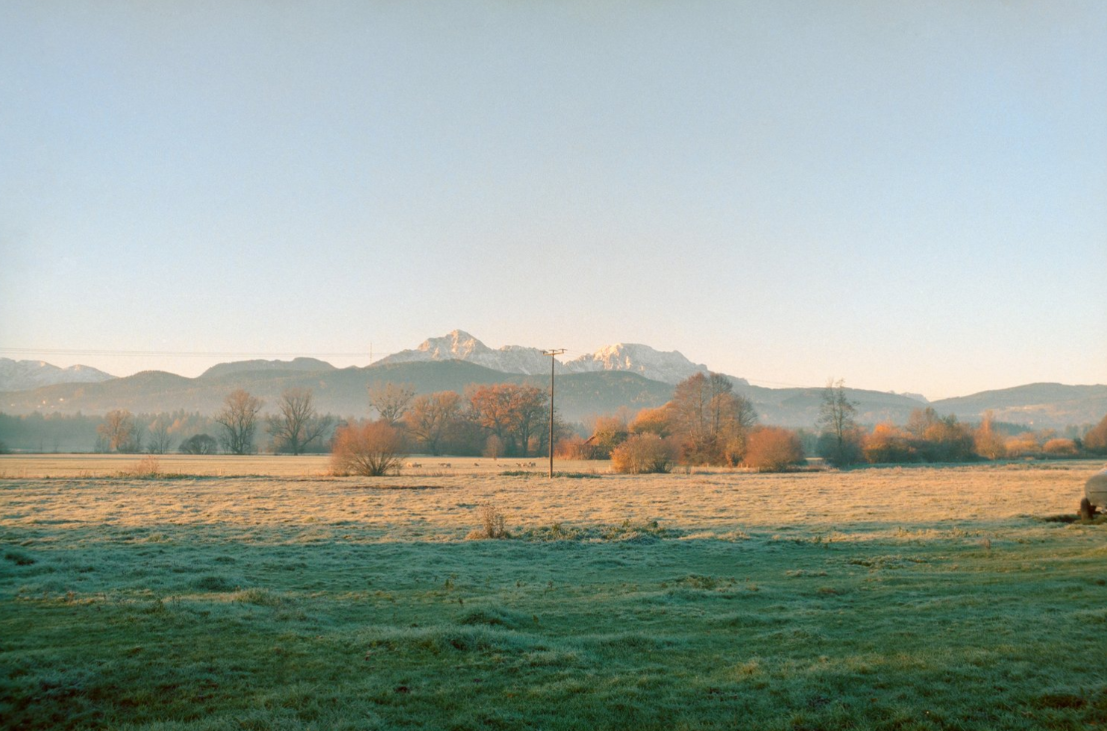 photo1